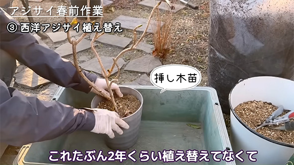 これたぶん2年くらい