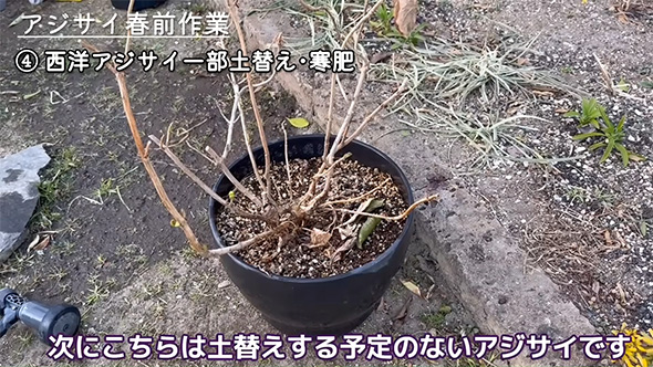 次にこちらは土替えする