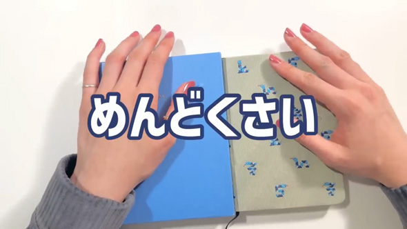 塗るだけ 日記 簡単 楽 ほぼ日 マイルドライナー