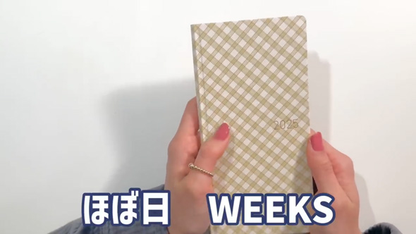 塗るだけ 日記 簡単 楽 ほぼ日 マイルドライナー