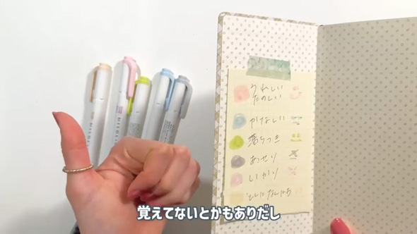 塗るだけ 日記 簡単 楽 ほぼ日 マイルドライナー