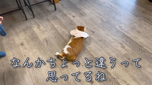 なんかちょっと