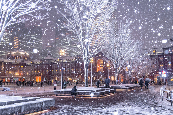 雪が降るTDSの光景