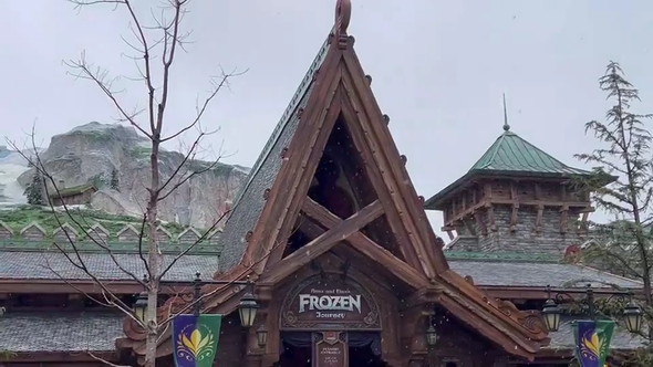 雪が降るTDSの光景