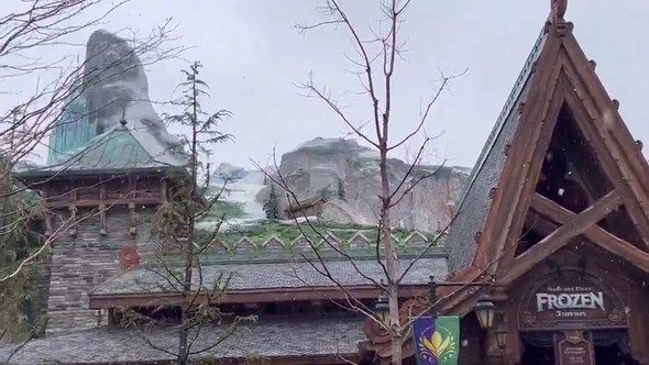 雪が降るTDSの光景