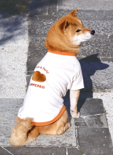 ワンコの背中にコッペパン