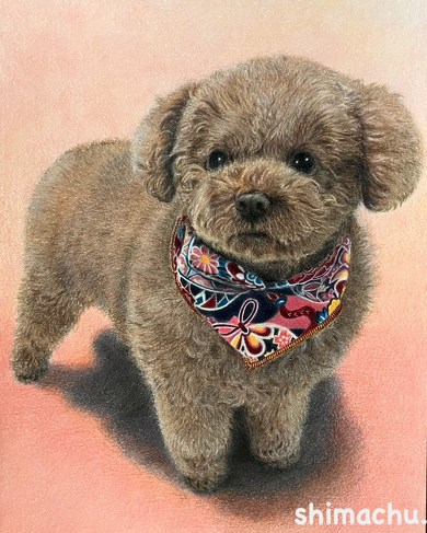 ぬいぐるみ感がかわいいプードル