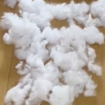 綿が出された布団と犬