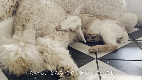 だからどんな時でも