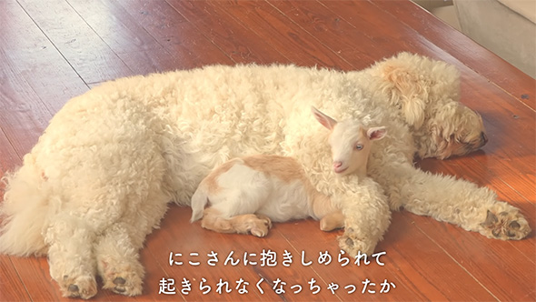 にこさんに抱きしめられて