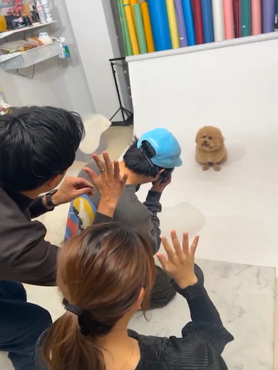 写真スタジオでのポテチくん