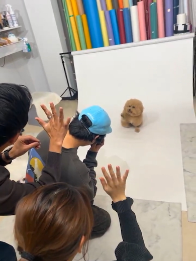 写真スタジオでのポテチくん