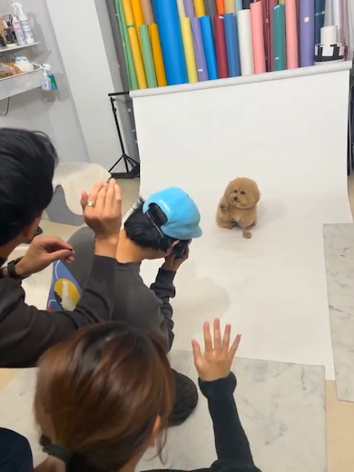 写真スタジオでのポテチくん