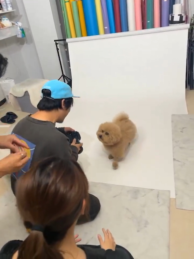 写真スタジオでのポテチくん