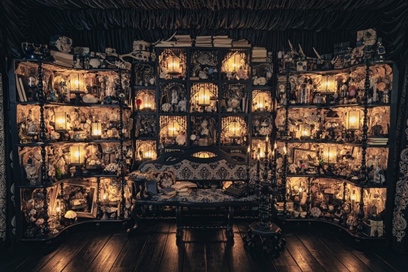 空間創作作家が作った「真夜中の標本室」