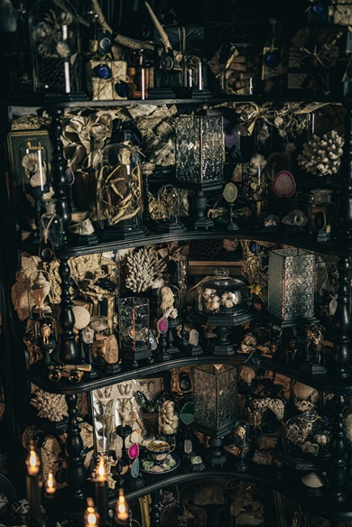 さまざまな資料が置かれている「真夜中の標本室」の棚