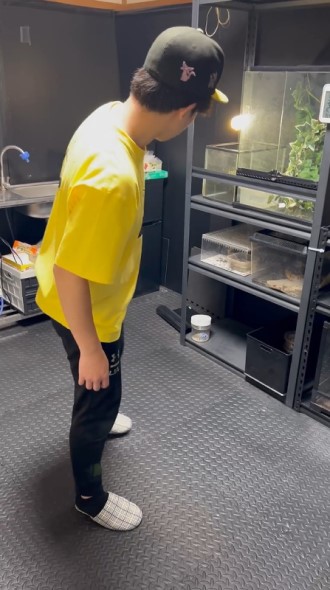 逃げ出していなかよく見る