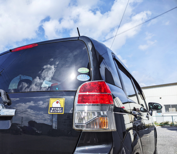 車に貼って後続車に「家で文鳥が待っていること」をしっかりアピールできる