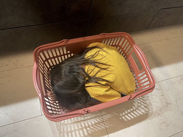 3歳児とのかくれんぼ