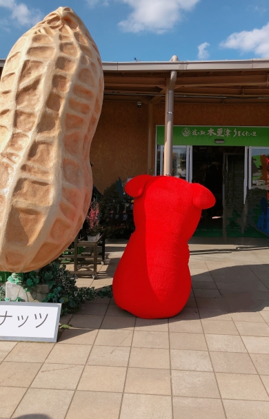 チーバくんと落花生