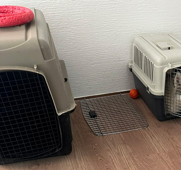 大きいキャリー