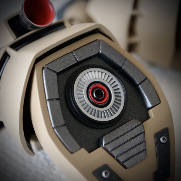 トロピカルドム