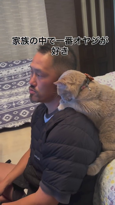 お父さんの肩に乗る猫ちゃん