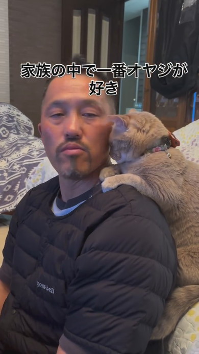 お父さんの肩に乗る猫ちゃん