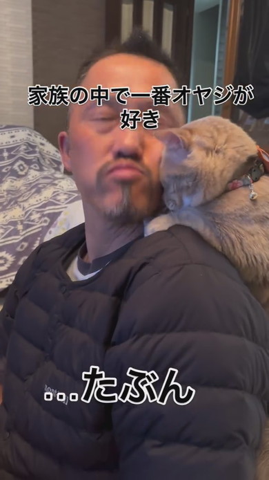お父さんの肩に乗る猫ちゃん