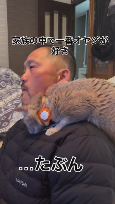 お父さんの肩に乗る猫ちゃん
