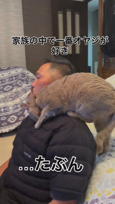 お父さんの肩に乗る猫ちゃん