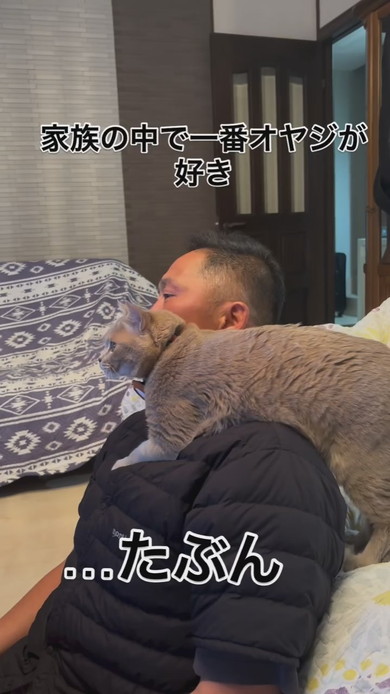 お父さんの肩に乗る猫ちゃん