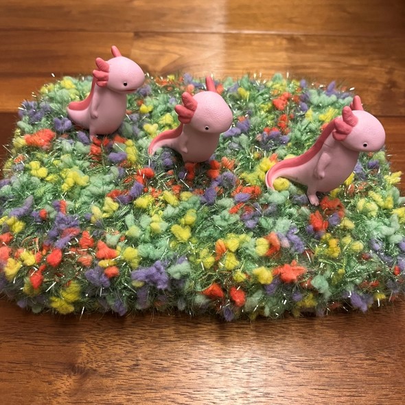 ウーパールーパーver.