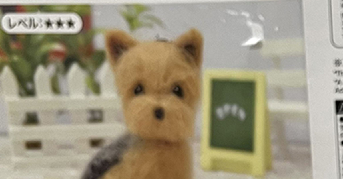 作家様　アートドール　犬　ワンコ 作家さま チワワのぬいぐるみ - メルカリ