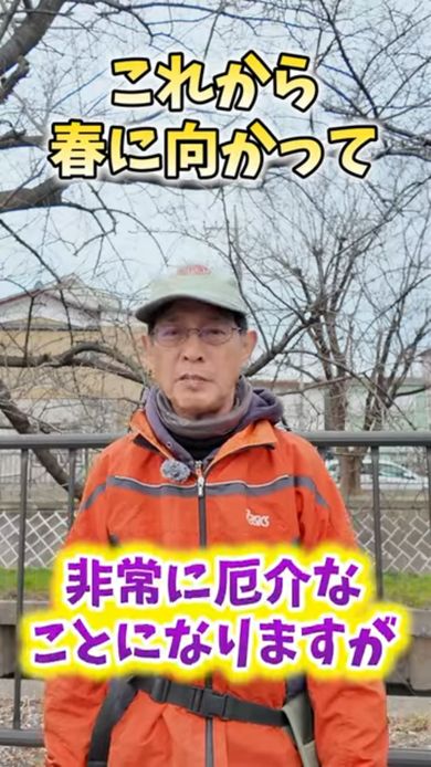 春は虫が増えて野菜を育てるのがハードな季節