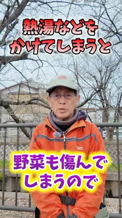 熱湯をかけてしまうと野菜も痛む