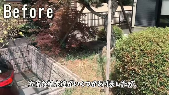 庭に生えている木