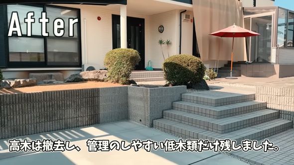 低い木だけを残した庭