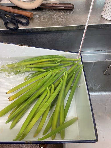 バニラの果実を湯につける