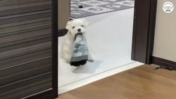 ママさんを待つナナくん