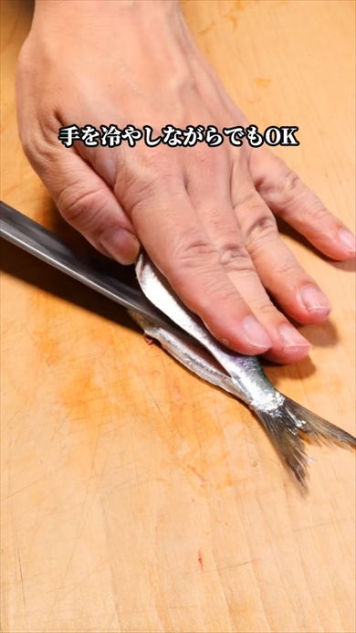 300円で作る花みたいに盛り付けたイワシの刺身