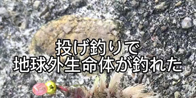 投げ釣りでトリミング