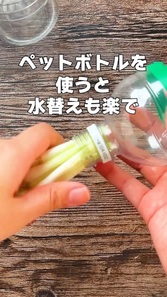 ネギの根っこを刺して……
