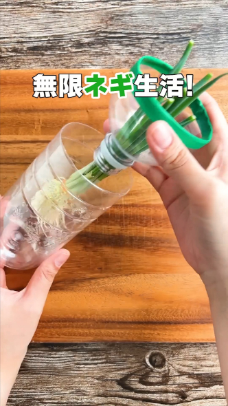 キッチンばさみなどで適宜カットして