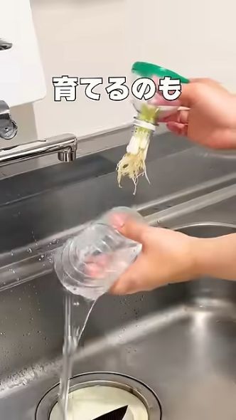 水替えも楽々