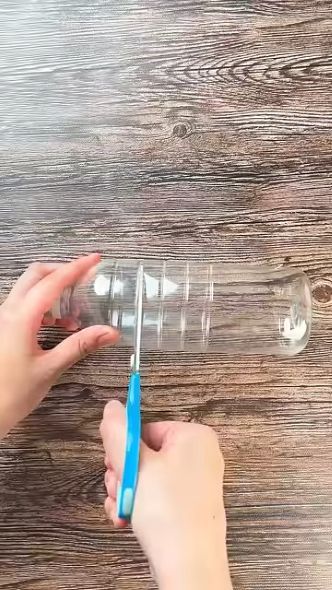 実はネギって再生できるの