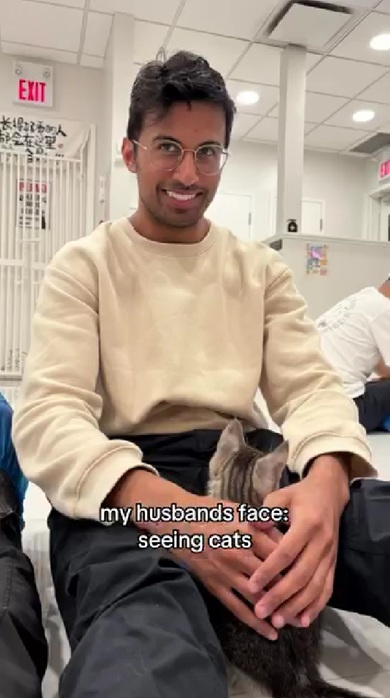 猫を前にした夫