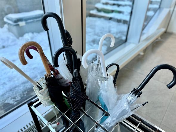 傘のイメージ画像