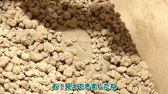 見えてきました