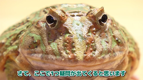 さて、ここで1つ